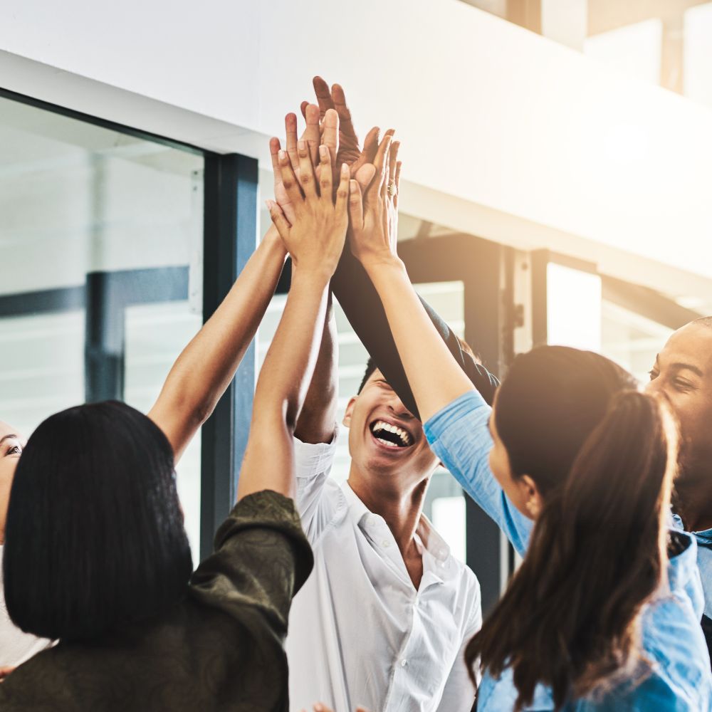 aree attività notarili terzo settore