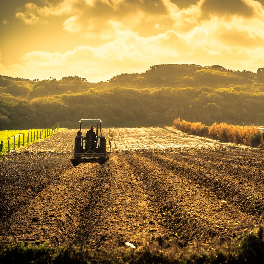 aree attività notarili agricoltura